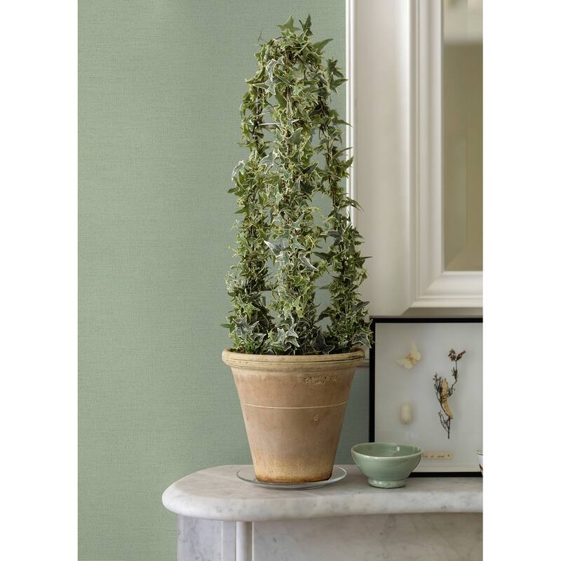 Advantage Estefan Green Distressed Texture Wallpaper - 20.9in x 396in x 0.025in - 20.9in x 396in x 0.025in