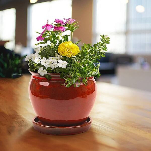 Southern Patio Wisteria 12 Inch Ceramic Planter Pot with Saucer, Red (2  Pack) - 8.82 - Bed Bath & Beyond - 36063210