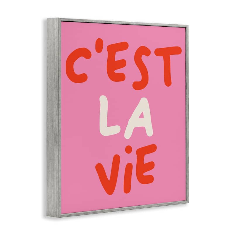 Stupell C'est La Vie on Pink Framed Giclee Art Design By House of Lulu