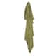 Option Olive