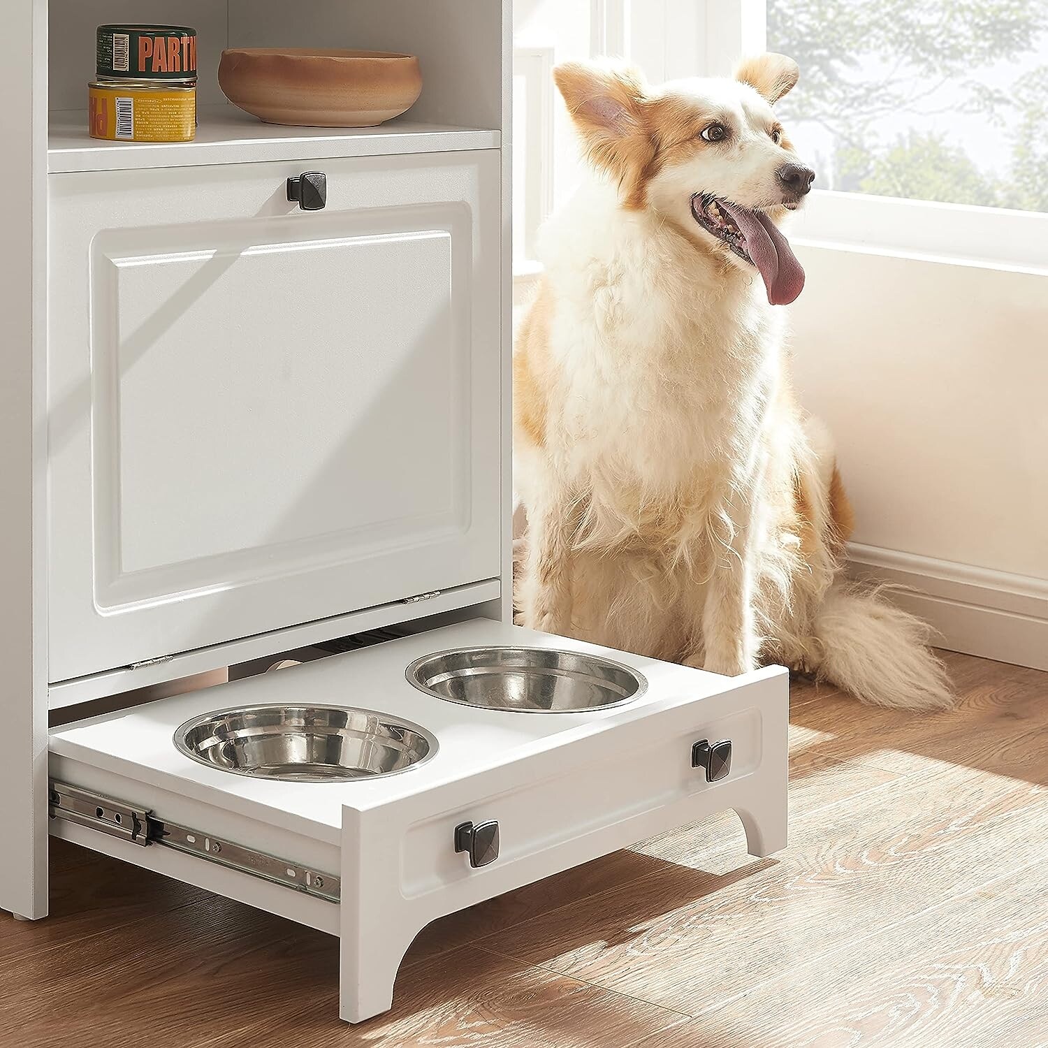 Dog shop feeding station