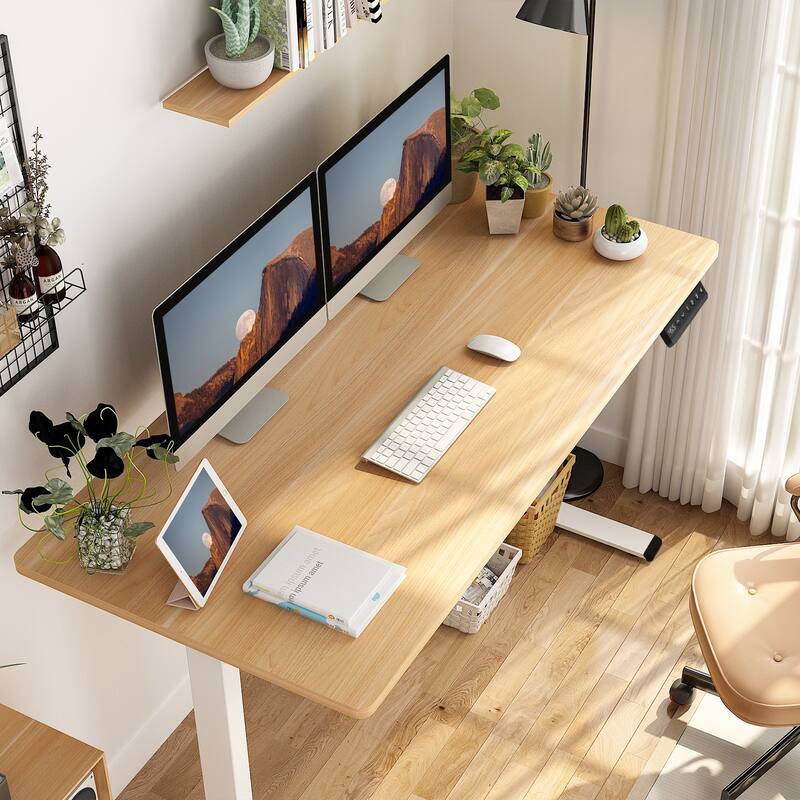 FLEXISPOT 55 x 28 Home Office Standing Desk Electric Height Adjustable Desk with LED Memory Control