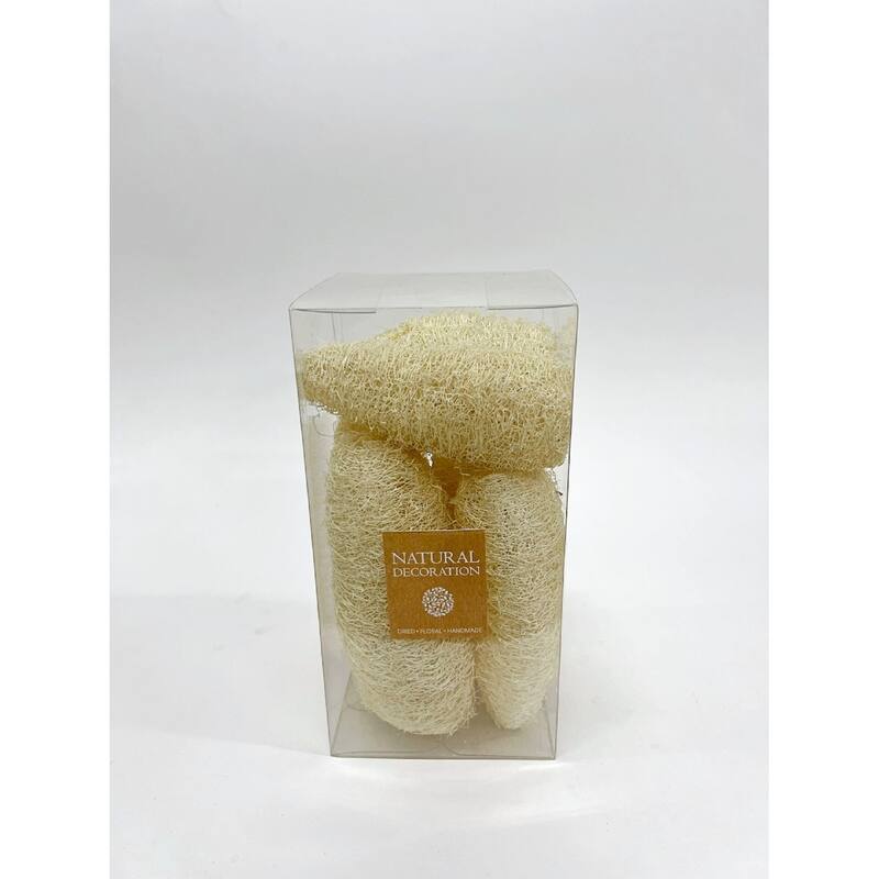 Dried Natural Botanicals CMS PVC Box Decor - White Bleached - BLEACHED