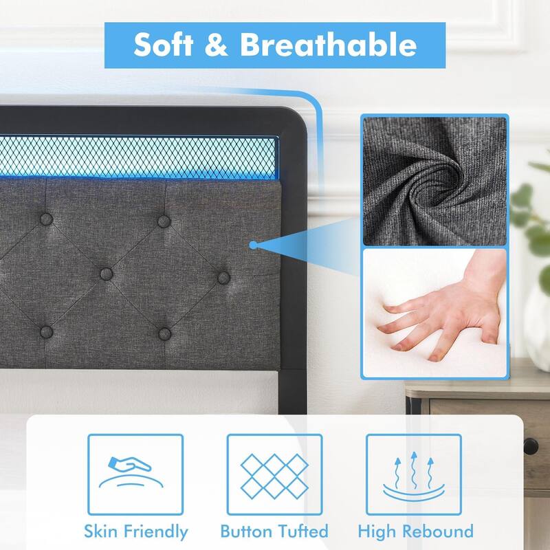 Bed Frame with LED Light and 2 Storage Drawers