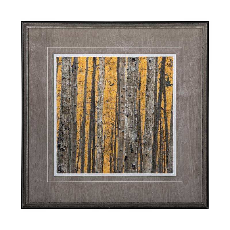 Aspen Trees 3 Framed Art Print