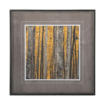 Aspen Trees 3 Framed Art Print