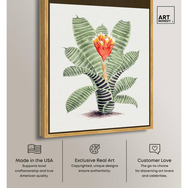 Tillandsia Musaica Plant Canvas by Art Remedy
