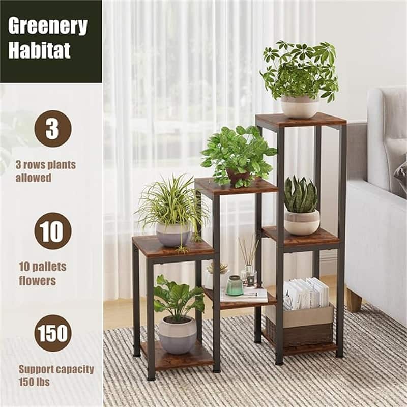 indoor orange tree plant Calamondin / Calamansi Indoor Citrus Tree main image 1