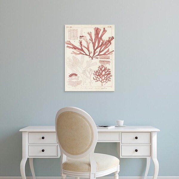 Easy Art Prints Vision Studio's 'Antique Coral Seaweed IV' Premium Canvas Art