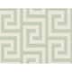 Option Fern