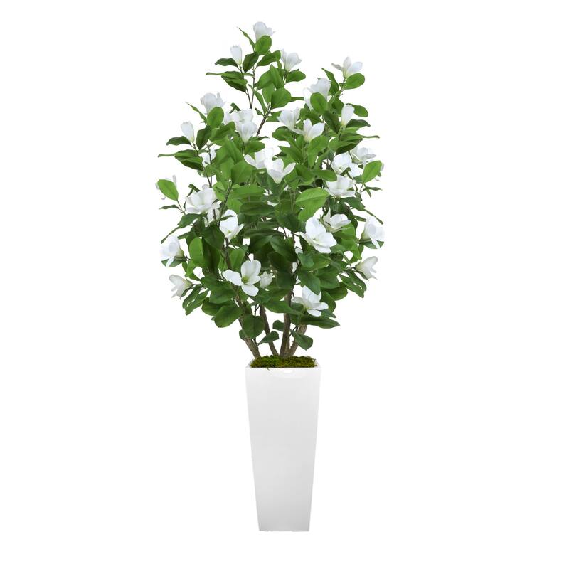 Magnolia Tree in Fiberstone Planter - 66