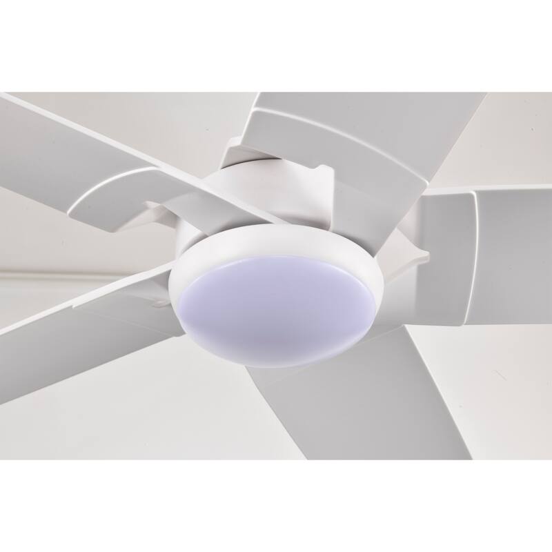 Angus 5-Blade Lighted Ceiling Fan with LED Lamp with Remote