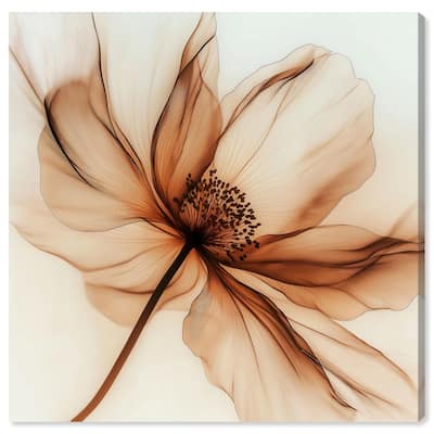 Fragile Elegance I Canvas by Art Remedy, Gallery Wrapped