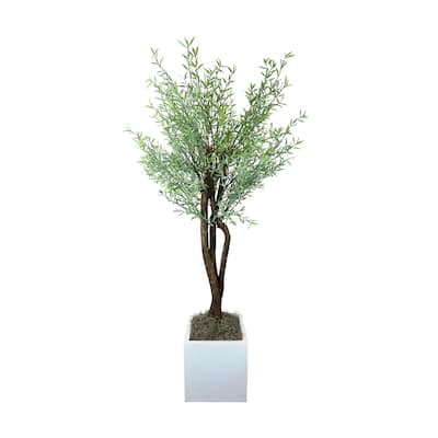4.5 ft Myrtle Tree in Square Fiberstone Container - Green