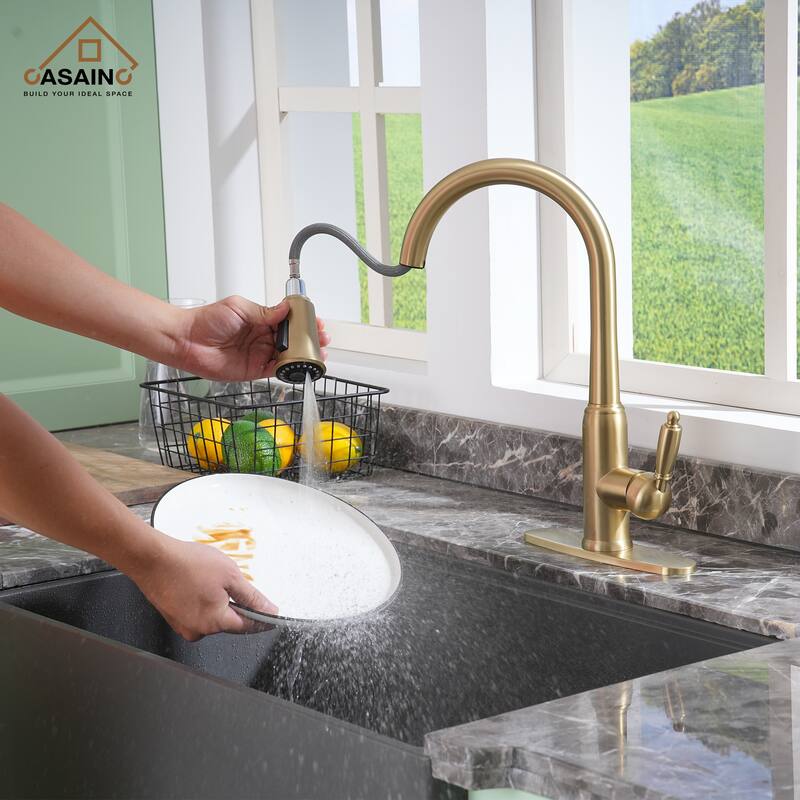Single Handle Pull-Down Sprayer Kitchen Faucet