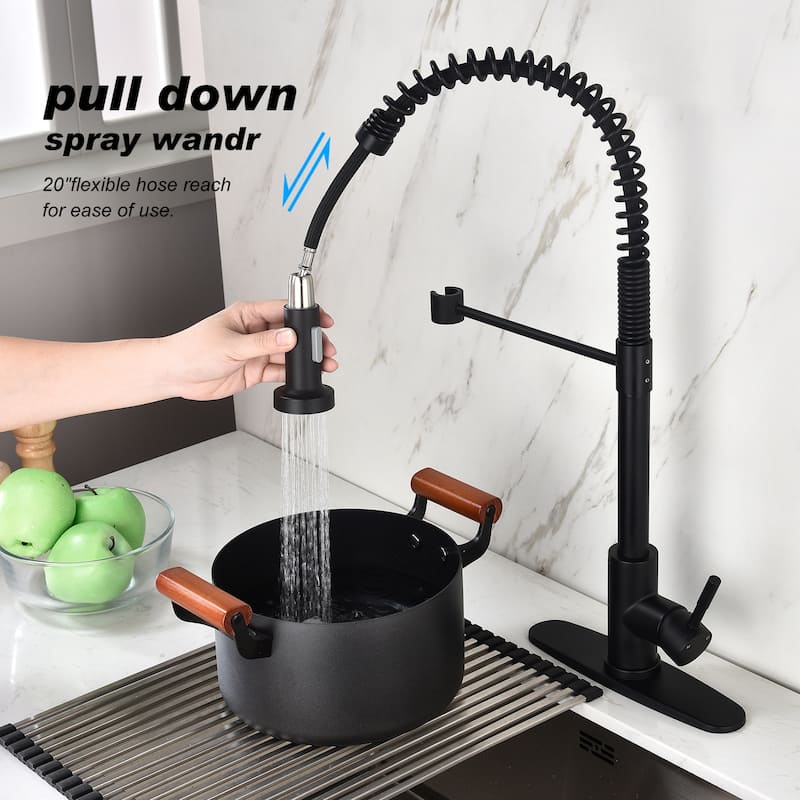 Single-Handle Pull-Down Sprayer Kitchen Faucet