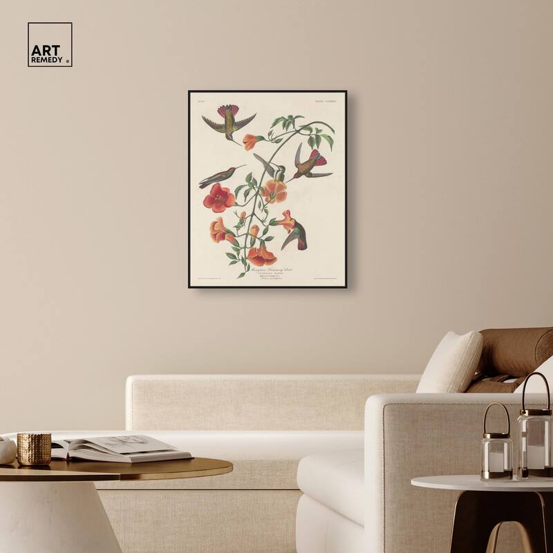 Humming Bird 1834 Canvas by Art Remedy