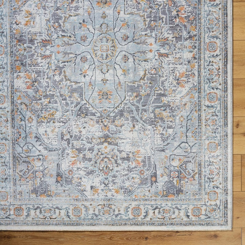 Livabliss Hassler Traditional Medallion Area Rug