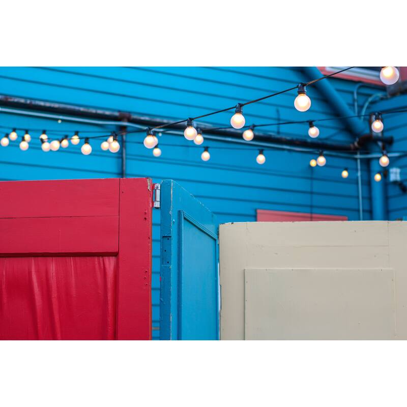 LEDPAX 50-Light 50 ft. Indoor and Outdoor LED String Light, Black - 50 ft