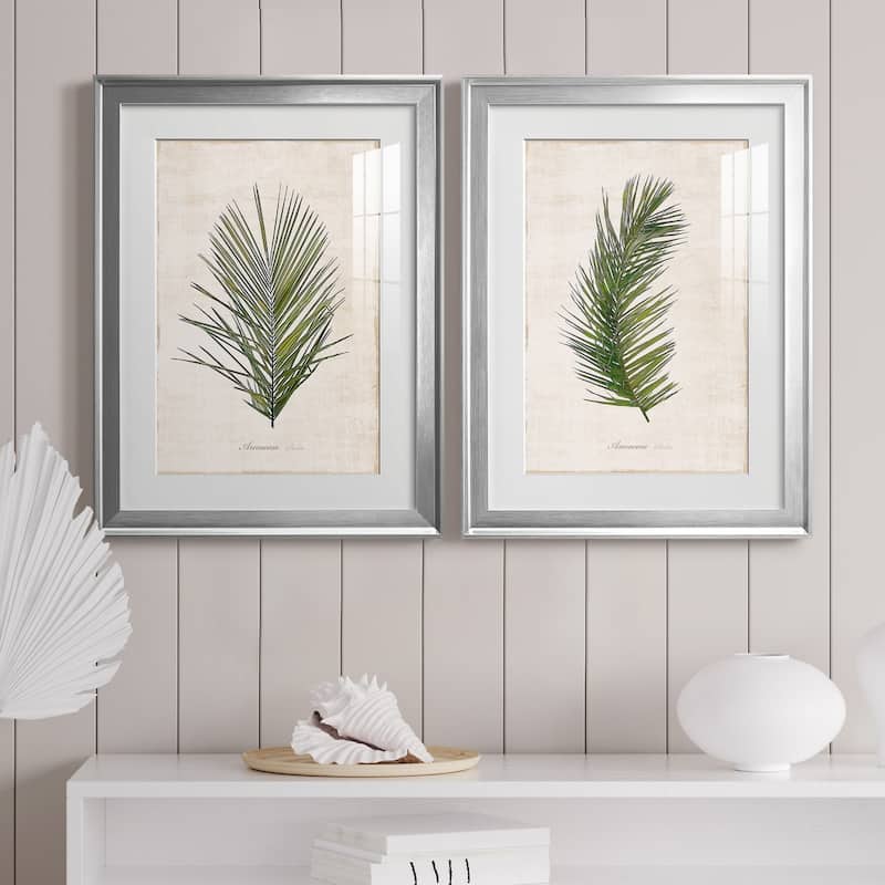 Palm Botanical I Premium Framed Print - Ready to Hang