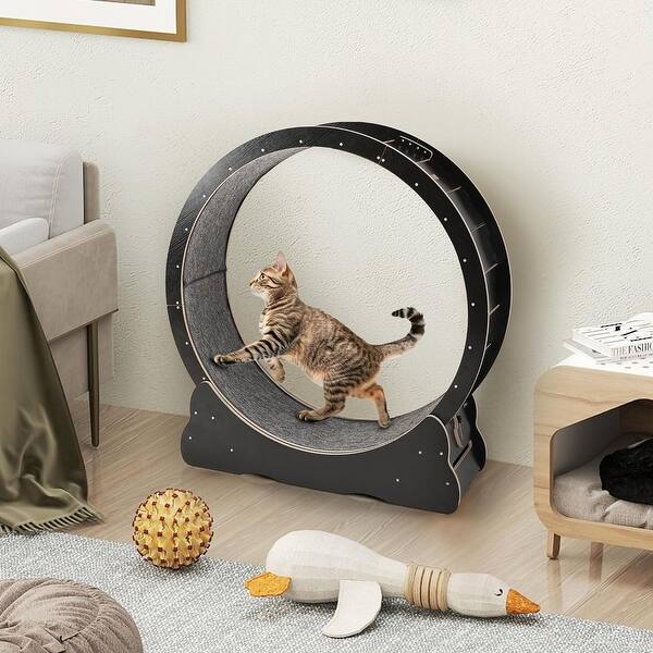https://ak1.ostkcdn.com/images/products/is/images/direct/df1c585c1a77d064ff95be7d895b70892b4fb671/AECOJOY-Large-Wooden-Cat-Exercise-Wheel-Cat-Treadmill-Cat-Running-Wheel-Silent-Toy.jpg?impolicy=medium&utm_source=chatgpt.com