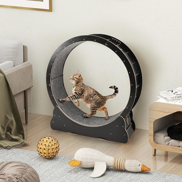 https://ak1.ostkcdn.com/images/products/is/images/direct/df1c585c1a77d064ff95be7d895b70892b4fb671/AECOJOY-Large-Wooden-Cat-Exercise-Wheel-Cat-Treadmill-Cat-Running-Wheel-Silent-Toy.jpg?impolicy=medium&utm_source=chatgpt.com