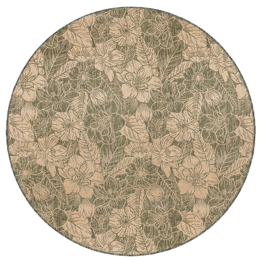 Liora Manne Carmel Botanical Indoor/Outdoor Rug
