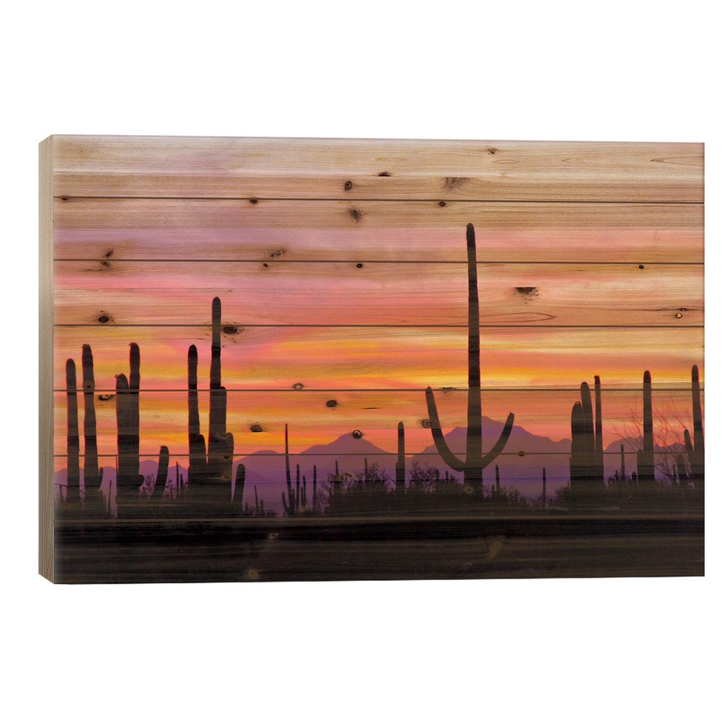 Saguaro Cacti At Sunset I, Saguaro National Park, Sonoran Desert, Arizona, USA Print On Wood by Cathy & Gordon Illg