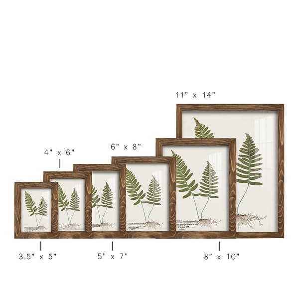 dimension image slide 9 of 21, Nature Printed Ferns IX -Framed Print w/glass-Cherry Red