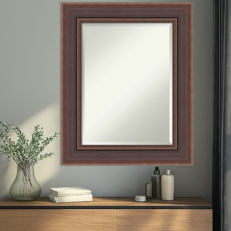Moab Brown Bronze Beveled Framed Wall Mirror - Moab Brown Bronze
