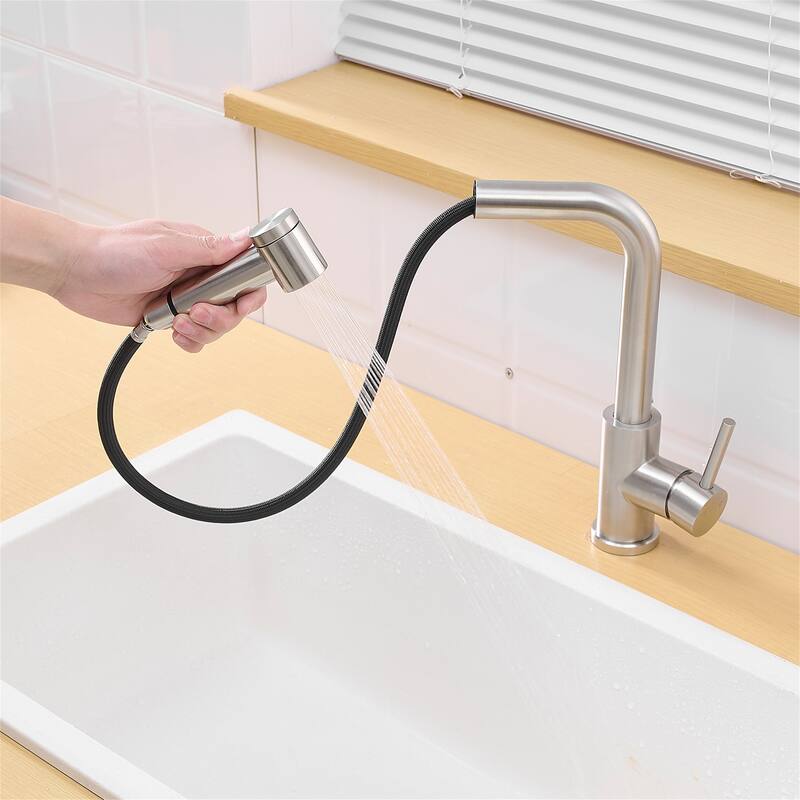 Sink Faucet Kitchen Faucets with Pull out Sprayer