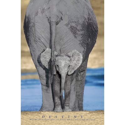 Destiny Elephant and Baby Elephant Typography Art Poster - 24 x 36 Inch