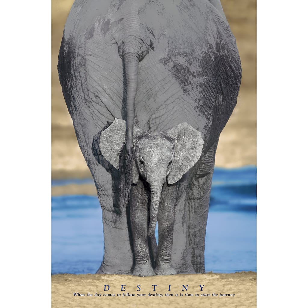 Destiny Elephant and Baby Elephant Typography Art Poster - 24 x 36 Inch