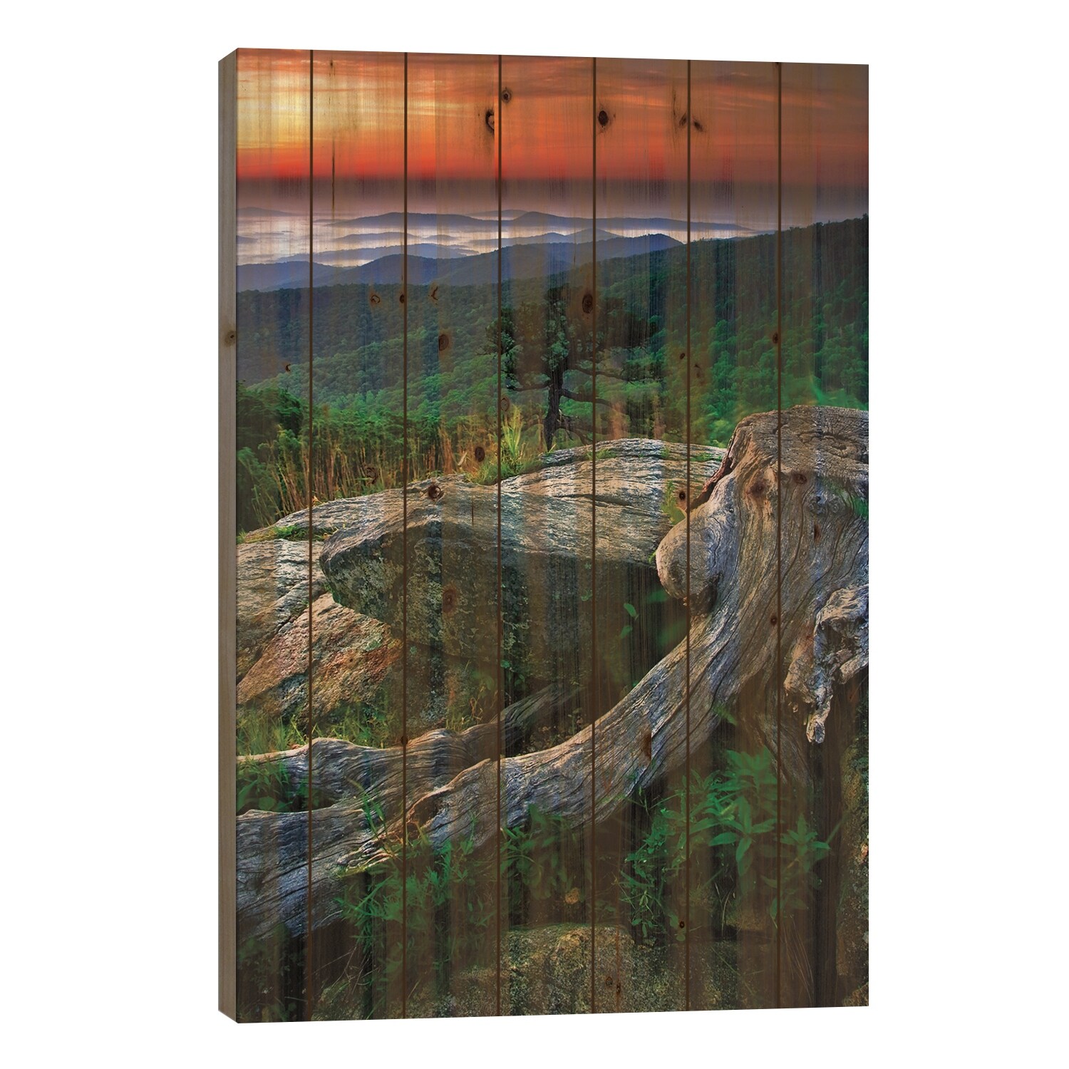 Sunrise Over The Fog-Covered Blue Ridge Mountains, Shenandoah National Park, Virginia, USA Print On Wood by Jay O'Brien