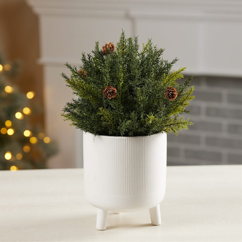Arborvitae Half Orb 8.5"D - 9 x 9 x 9