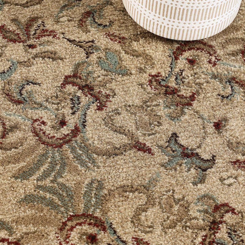 Superior Heritage Traditional Floral Scroll Indoor Area Rug
