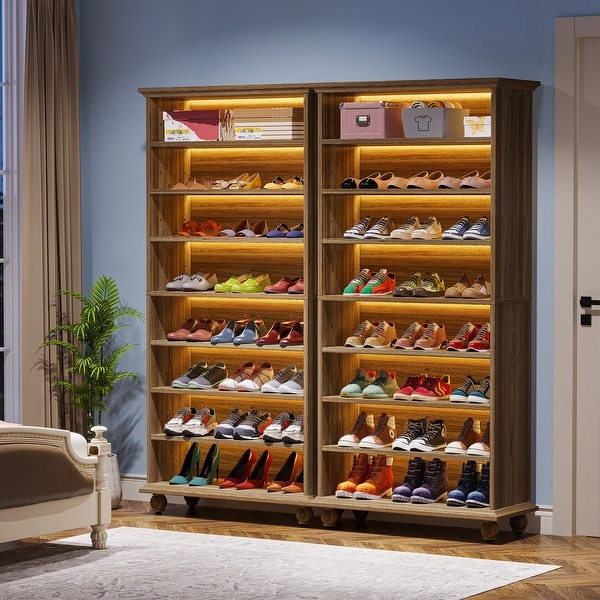 Shoe Storage Cabinet with LED Light, 67