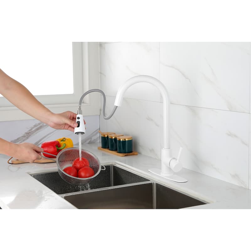 Pull Out Spray Kitchen Faucet