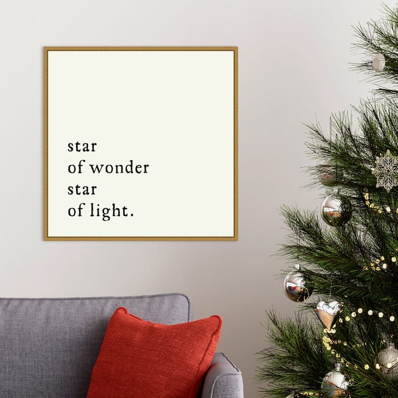 Star Of Wonder by Amanti Art Portfolio Framed Canvas Wall Art