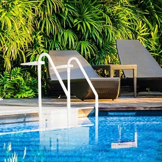 27" x 33" x 78" Elegant Modern Swimming Pool Ladder