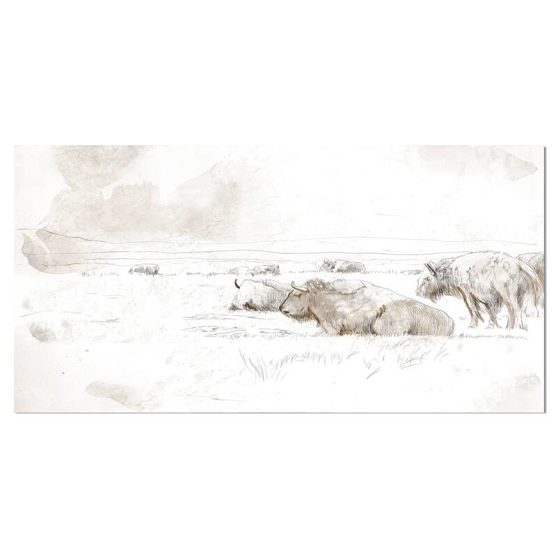 Designart "Wild Bison Buffalo Sketch" Farmhouse Animal Print on Wrapped Canvas - 32 in. wide x 16 in. high