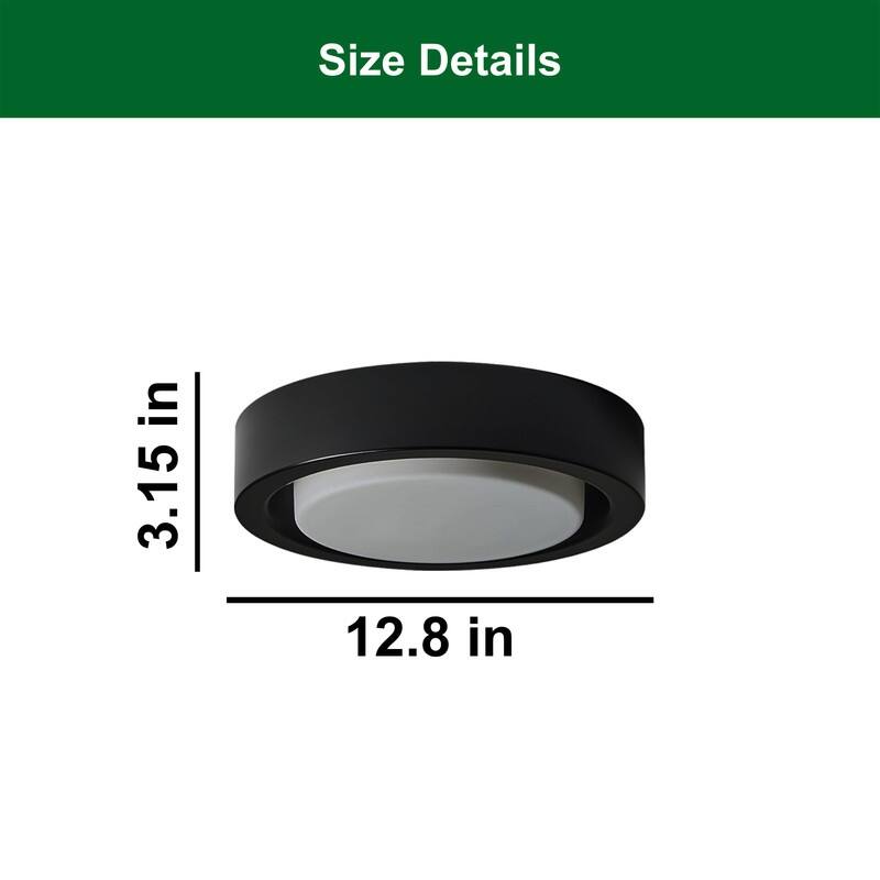 13 Inch flush light black ceiling lamp fixture glass, metal lights ceiling light - N/A