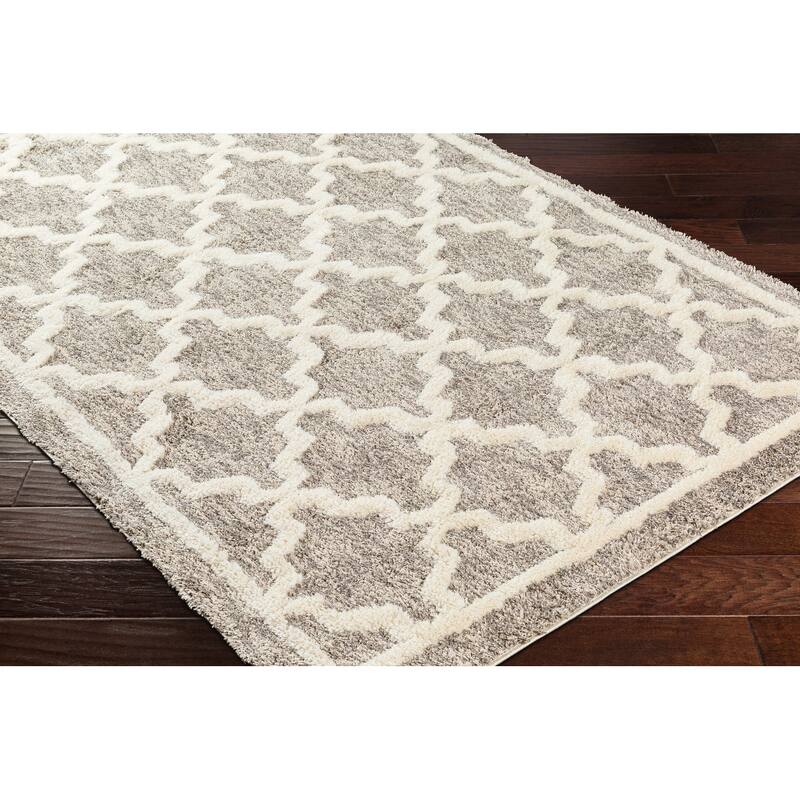 Livabliss Florida Cozy Trellis Plush Area Rug