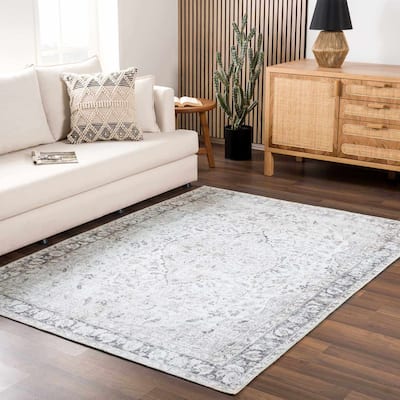 Hauteloom Fatih Living Room, Bedroom Machine Washable Area Rug - Beige, Charcoal, Gray - 2' x 2'11"