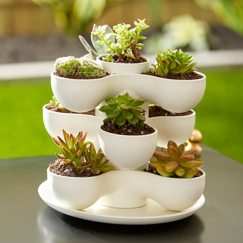 The HC Companies 8" Pixie Indoor Stacking Succulent Planter Pot, Vanilla Bisque - 1.15