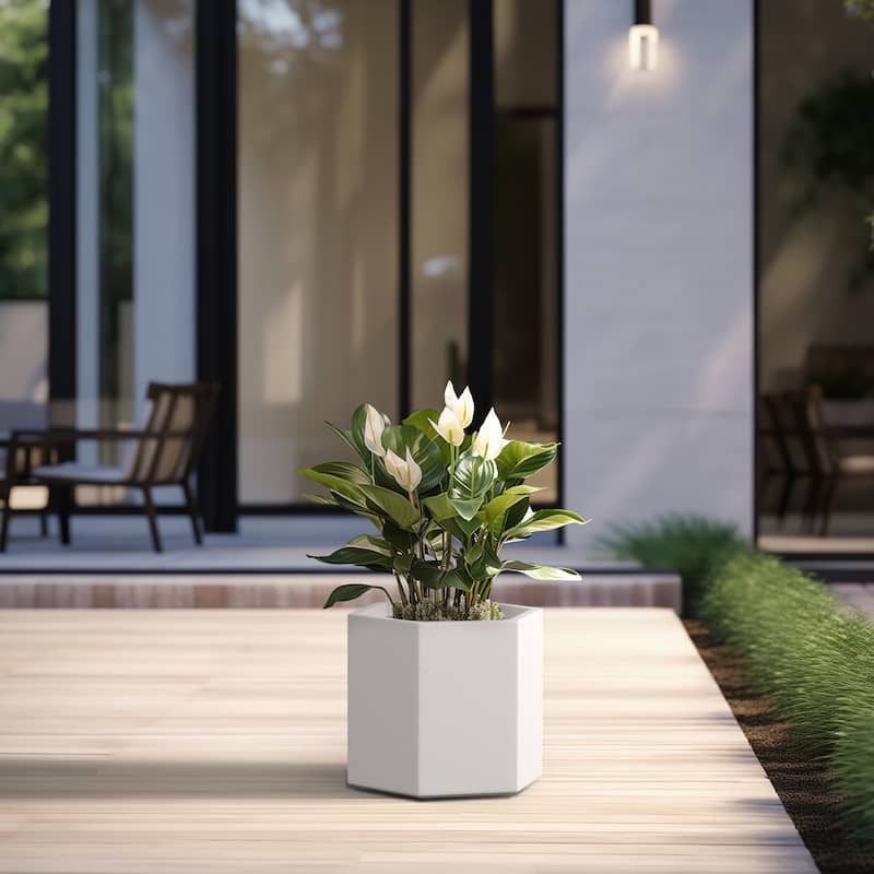 Concrete Geometric Plant Pots / Large Indoor and Outdoor flower Planters
