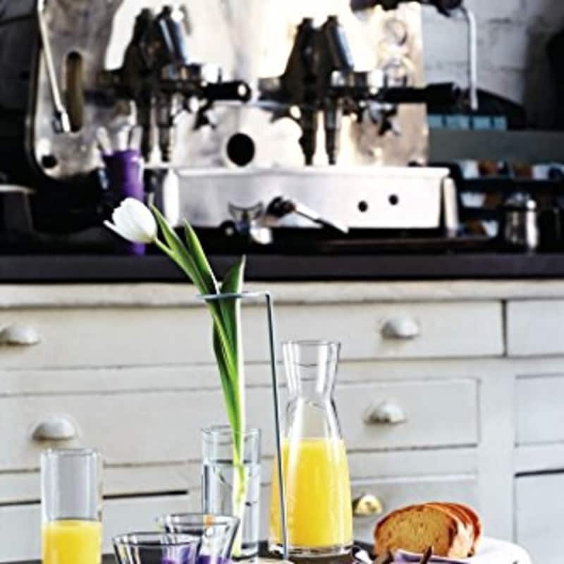 Bormioli Rocco Ypsilon Wine Carafe