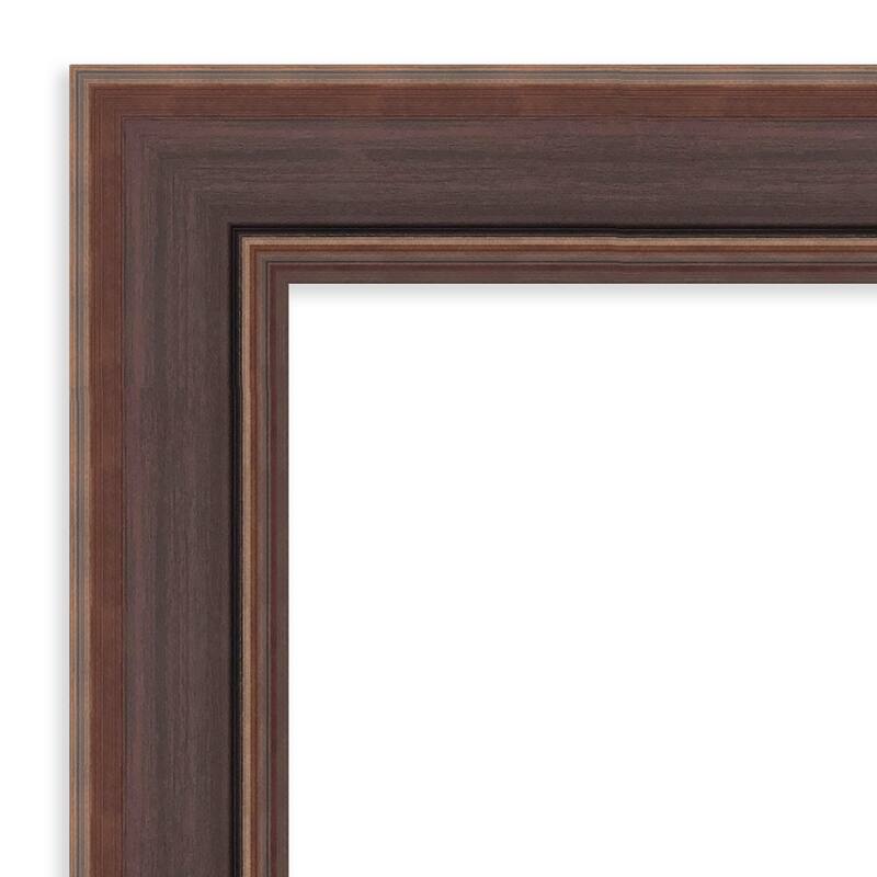Moab Non-Beveled Framed Full-Length On the Door Mirror - Moab Brown Bronze - 22 x 56 in