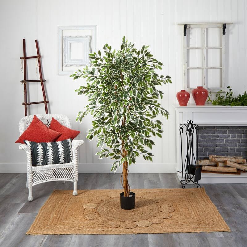 Hawaiian Vintage Tree - 6Ft Tropical Decor - Lush Green White Foliage - Indoor Plant - Home Office Gift - 6ft.
