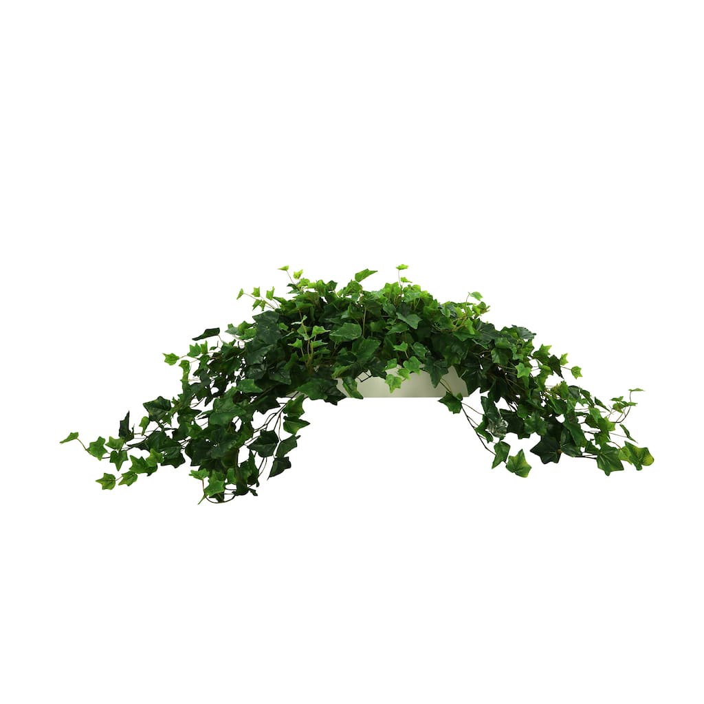 Traditional Ivy Arrangement in Planter